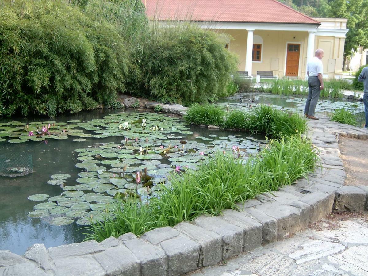 Dobre Ubytovanie Piest'any Buitenkant foto